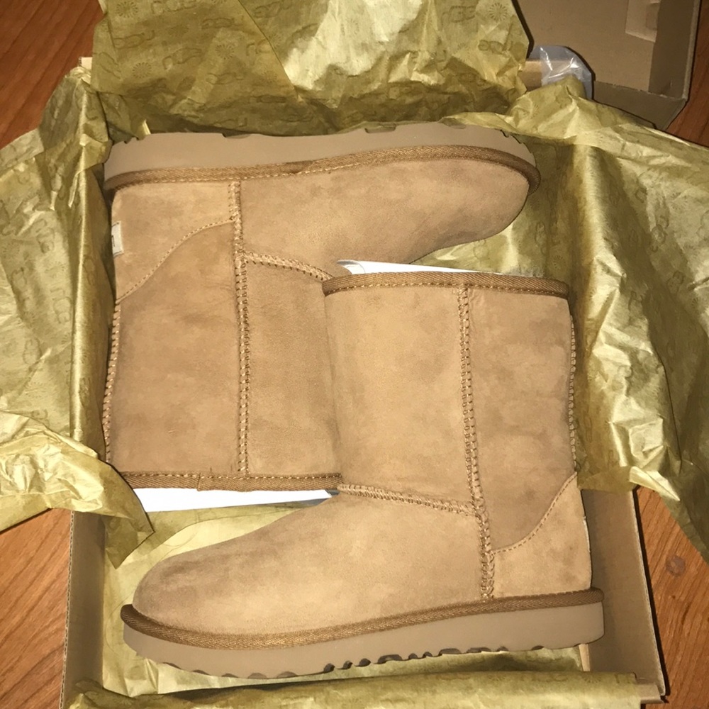 Water resistant chestnut uggs
